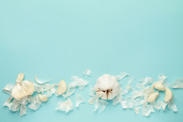 Fresh white unpeeled head bulb of garlic and garlic cloves peel on blue color background. Vegan, organic, vitamins. Natural antibiotic, antioxidant, Allicin. Top view. Flat lay. Copy space for text