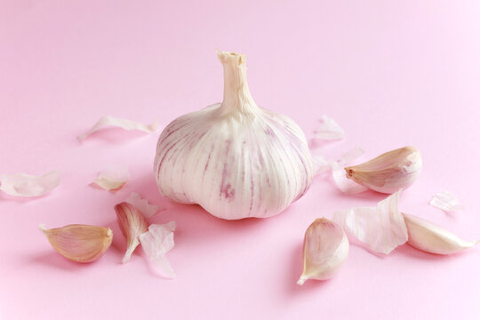 Fresh white unpeeled head bulb of garlic and garlic cloves peel on pink color background. Vegan, organic, vitamins. Natural antibiotic, antioxidant, Allicin. 