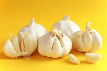 Fresh white unpeeled head bulb of garlic and garlic cloves on yellow color background. Vegan, organic, vitamins. Natural antibiotic, antioxidant, Allicin. 