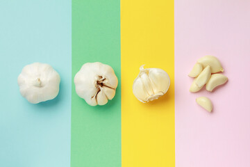 Fresh white unpeeled head bulb of garlic cloves on green pink blue yellow color background. Vegan, organic, vitamins. Natural antibiotic, antioxidant, Allicin. Top view. Flat lay. Copy space for text