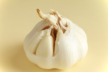 Fresh white unpeeled head bulb of garlic on yellow color background. Vegan, organic, vitamins. Natural antibiotic, antioxidant, Allicin. 