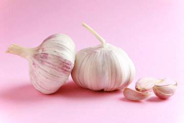 Fresh white unpeeled head bulb of garlic and garlic cloves on pink color background. Vegan, organic, vitamins. Natural antibiotic, antioxidant, Allicin. 