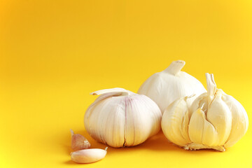 Fresh white unpeeled head bulb of garlic and garlic cloves on yellow color background. Vegan, organic, vitamins. Natural antibiotic, antioxidant, Allicin. Copy space for text