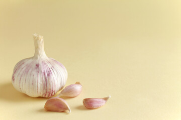 Fresh white unpeeled head bulb of garlic and garlic cloves on yellow color background. Vegan, organic, vitamins. Natural antibiotic, antioxidant, Allicin. Copy space for text