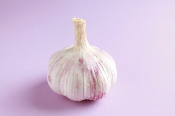 Fresh white unpeeled head bulb of garlic on lilac, violet, purple color background. Vegan, organic, vitamins. Natural antibiotic, antioxidant, Allicin. Copy space for text