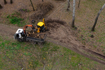 Landscaping company using tractor and truck with crane to clear land of roots, uprooted stumps