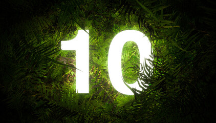 Jungle number 10 ten