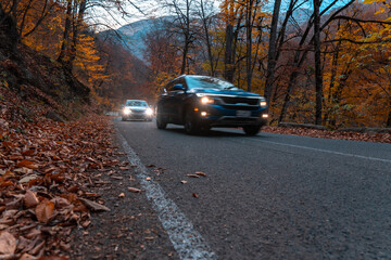 Cars eat on an asphalt road through the forest