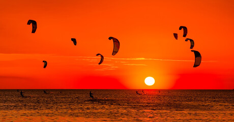 Kite-surfing against a beautiful sunset. Many silhouettes of kites in the sky. Holidays on nature....