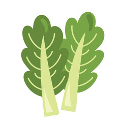 fresh celery vegetable