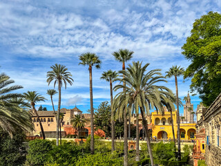 Tall palm trees in the garden and buildings