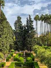 View of the tropical garden.