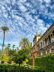 Fototapeta premium Tall palm trees in the garden and building