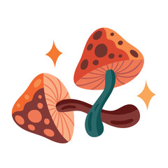 fungus garden Boho style