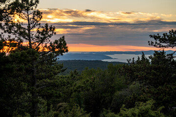 Beautiful croatian islands and archipelago photographed from the highest peak of Brac island, Croatia through the dense pine forest