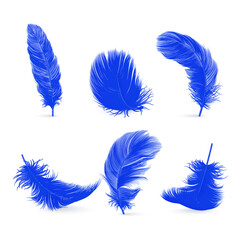 Vector 3d Realistic Blue Fluffy Feather Set Isolated on White Background. Design Template of Flamingo, Angel, Bird Detailed Feathers. Lightness,Freedom Concept