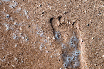 Human footprint in the damp sand on the beach