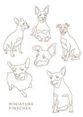 Miniature Pinscher Outline Illustrations in Various Poses