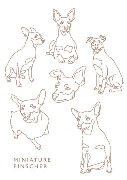 Miniature Pinscher Outline Illustrations in Various Poses