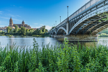 View of the cathedral of Salamanca on the banks of the Tormes river, in Spain.
