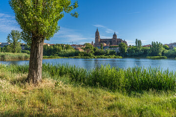 Fototapeta na wymiar View of the cathedral of Salamanca on the banks of the Tormes river, in Spain.