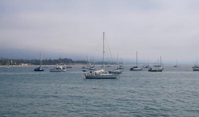 Sailboats standing in front of the coast of Santa Barbara, California, near Stearns Wharf.