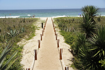 Obraz premium Caminho para praia - path to beach