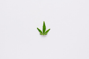 Marijuana leaf on white background with free space around
