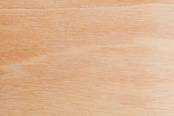 Light rough textured cut surface of an African tree. Wood background or blank for design