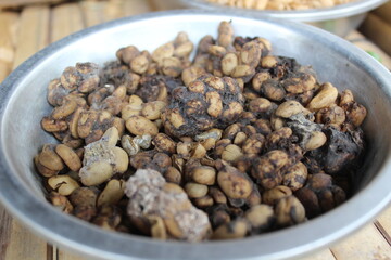 Close up of some partially digested coffee cherries used to make Kopi Luwak in Bali, Indonesia. 