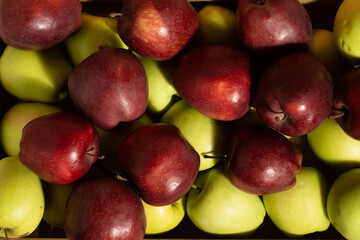 Many scattered red and yellow apples top view - red chief apples and golden apples