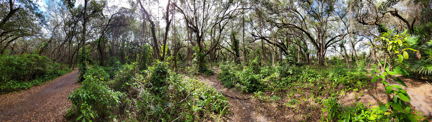 Trails filled with serenity found in nature