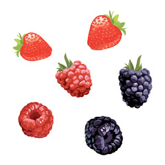 Vector set of hand drawn watercolor berries. Cherry, raspberry, strawberry, blueberry. Isolated objects on white background for menu and recipe design.