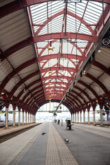 Dove in the train station