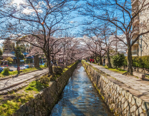 Canal along the Philosopher&rsquo;s Walk, Kyoto, Japan