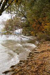 Fototapeta premium lake shore lakeshore and trees