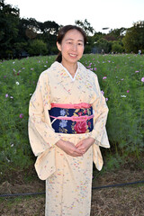 コスモス畑の和服女性