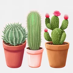 Fotobehang Cactus in pot Three Types Of Cactus Plants Illustration