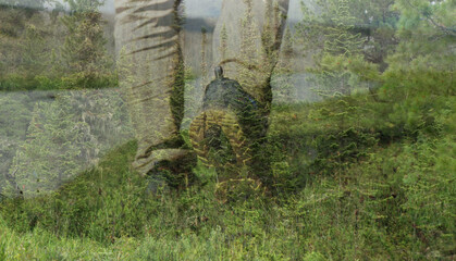 Fototapety na wymiar - Fototapeta24.pl