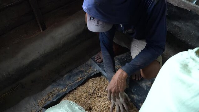 videos from above. a grown man wearing a hat. long sleeves put the rice into the grinding machine.