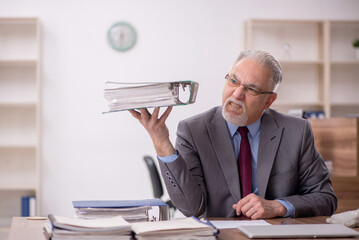 Old male boss employee working in the office