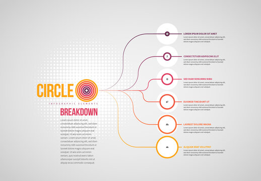 Circle Breakdown Infographic
