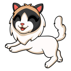 Cute rag doll cat cartoon