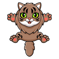 Cute little siberian cat cartoon