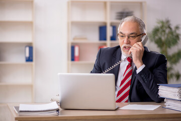 Old male employee working in the office