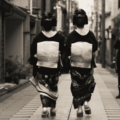 Traditional geisha, Gion Kyoto Japan. Mono - Brown