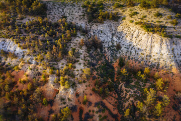 Aerial trees from dron in Toledo. La mancha