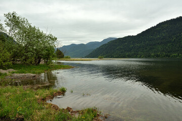 The shore of a calm lake overgrown with grass and bushes, surrounded by high mountains, on a cloudy summer evening.