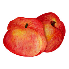 Two fresh ruddy peaches. Watercolor illustration of juicy fruits with stem. Hand drawn sweet summer nectarines isolated on transparent background. Clipart for prints, posters, cards, cosmetics, web