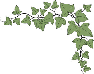 Simplicity ivy freehand drawing